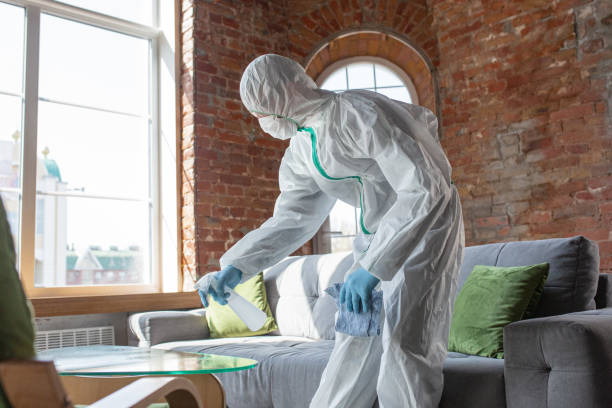 Best Industrial Mold Remediation in Sheldon, IA