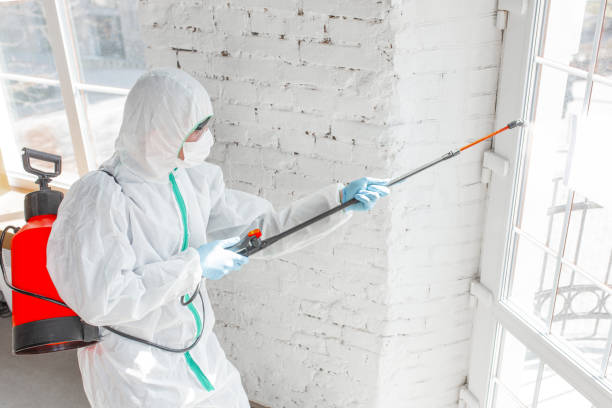 Best Commercial Mold Inspection in Sheldon, IA