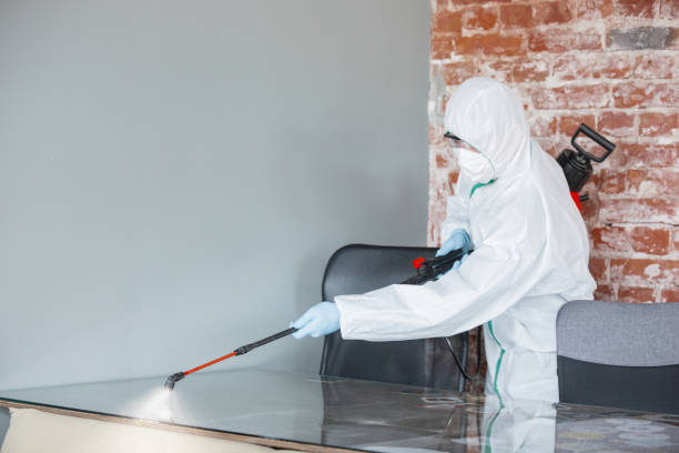 Why You Should Choose Our Mold Remediation Services in Sheldon, IA